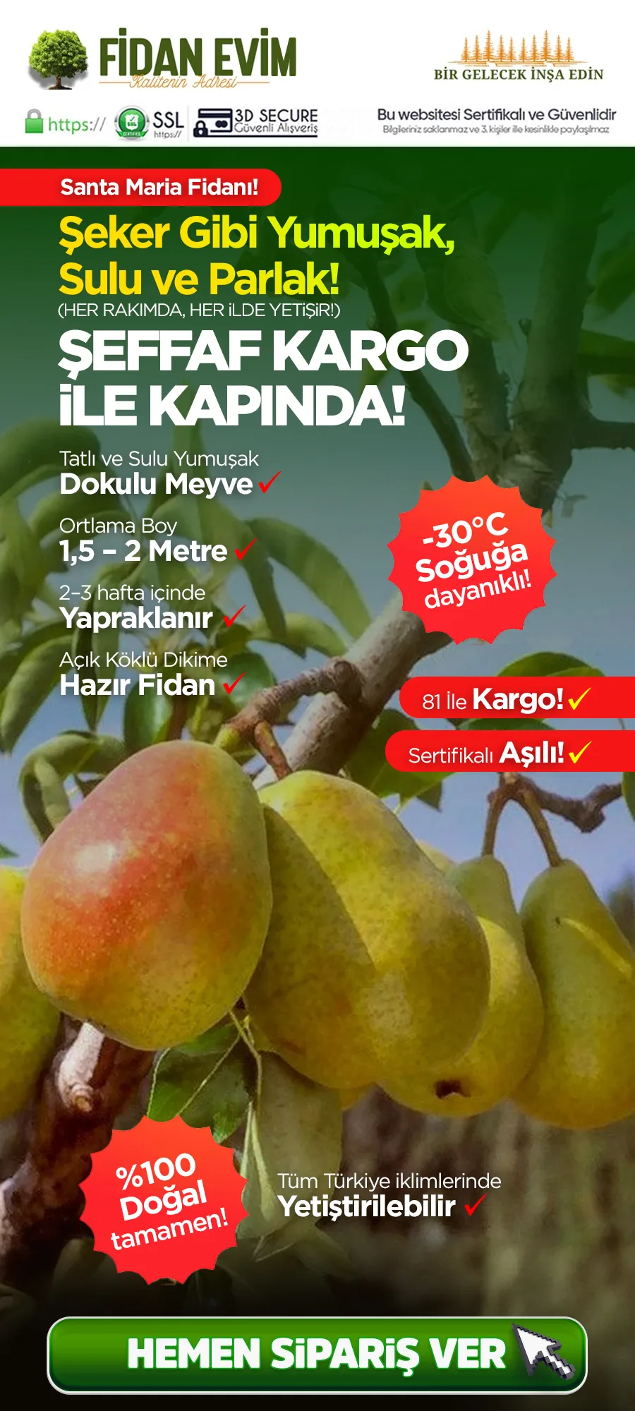 santamariaarmut.jpg 1