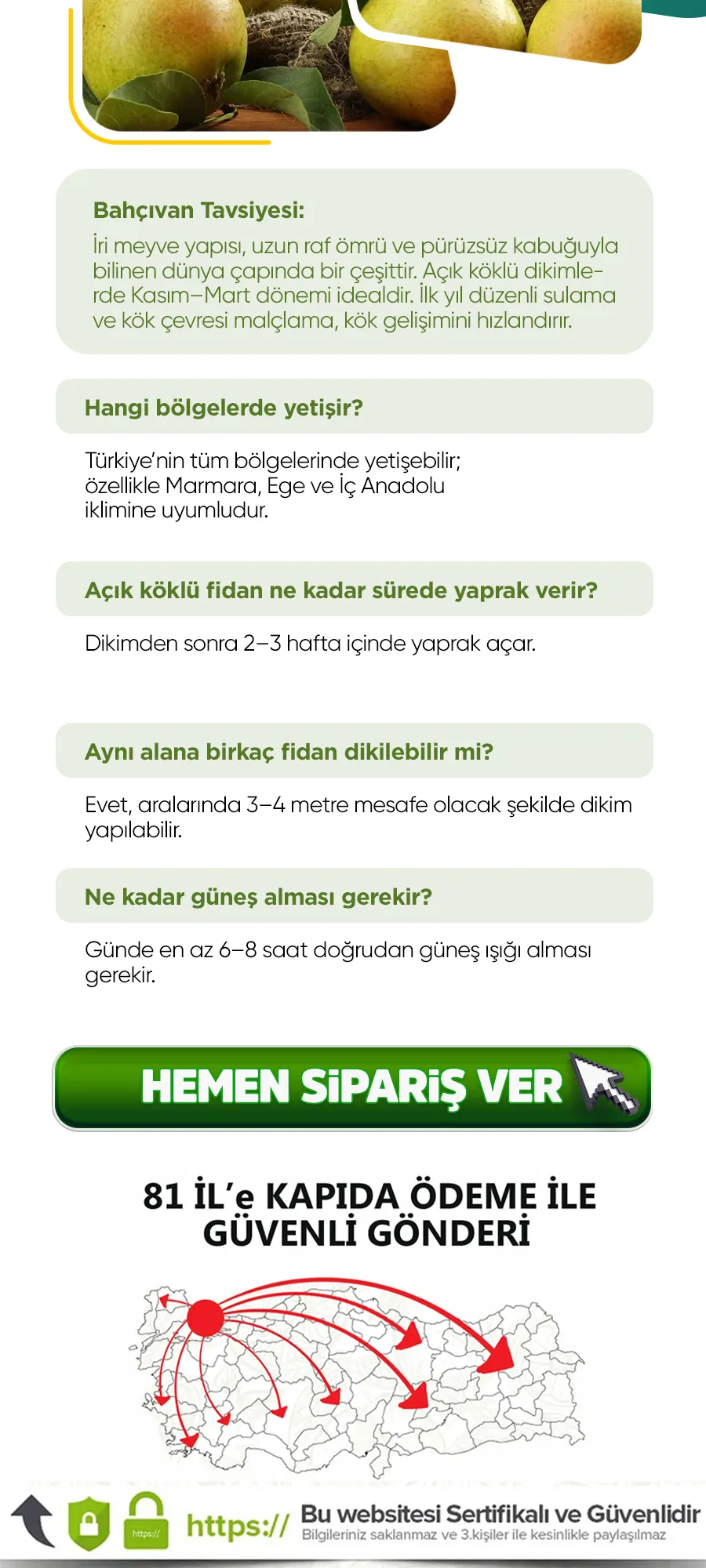 santamariaarmut.jpg 5