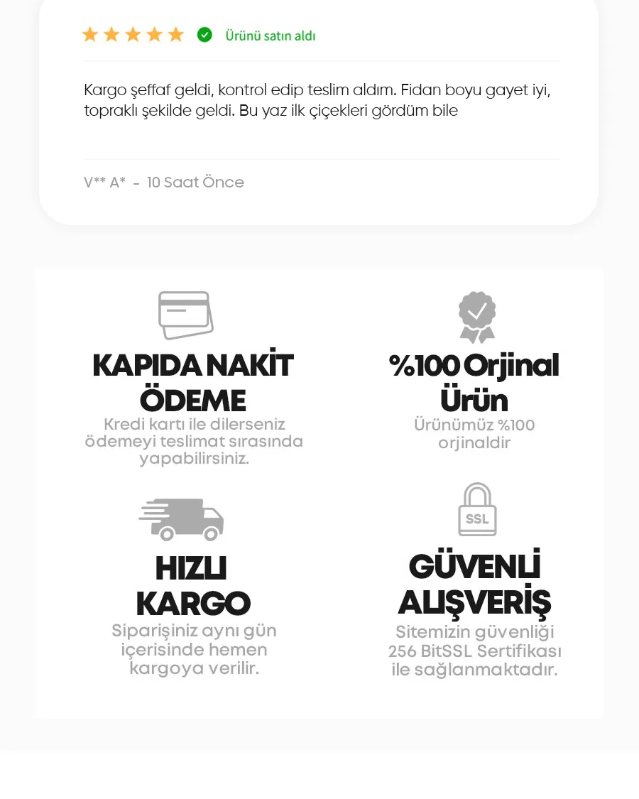 santamariaarmut.jpg 7